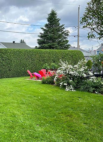 Nettoyage de printemps Québec Lévis