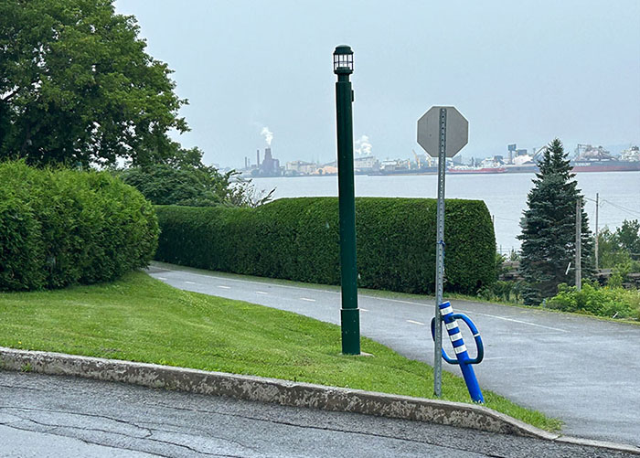Taille-haie-arbustes Québec Ste-Foy Lévis Cap-Rouge